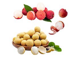 葡萄加工生產線